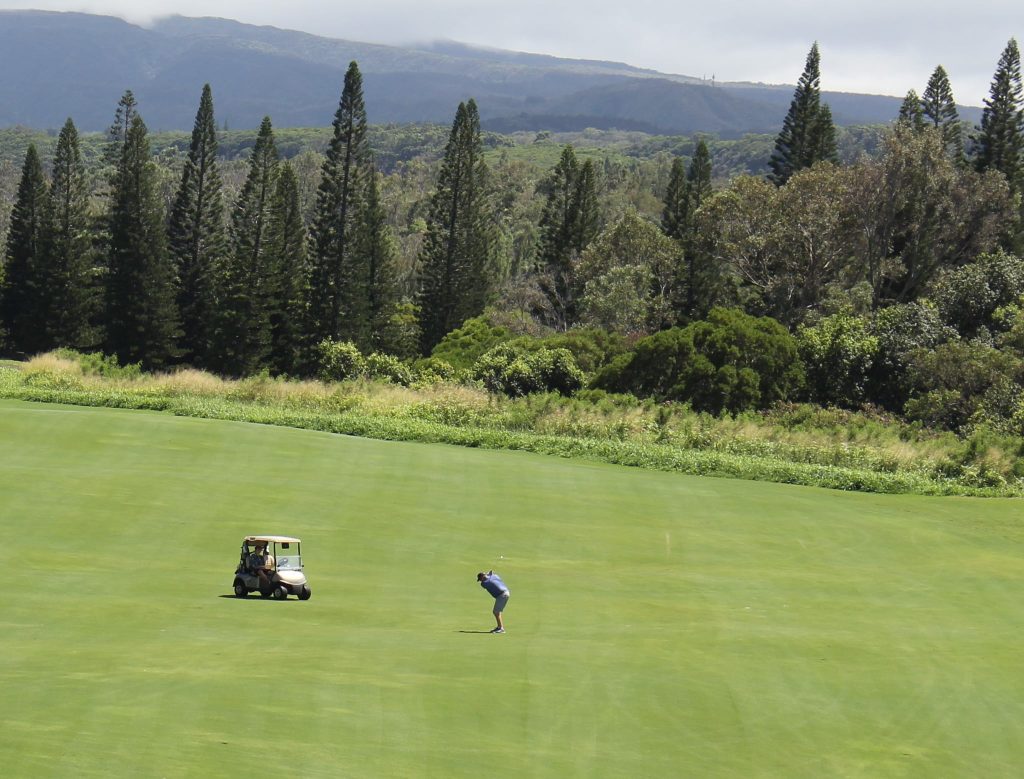 About WisGolfReviews 3 Kapalua 18