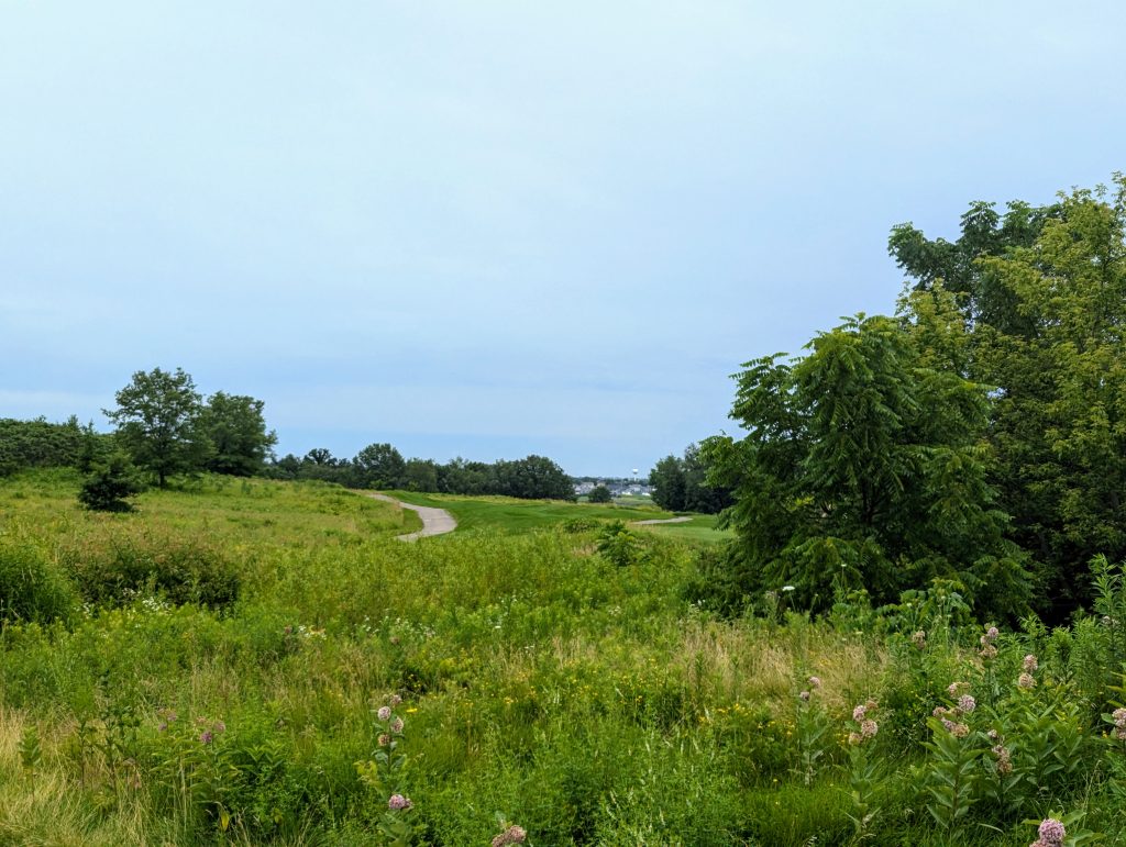 University Ridge Golf Course 15 PXL 20240704 154558699