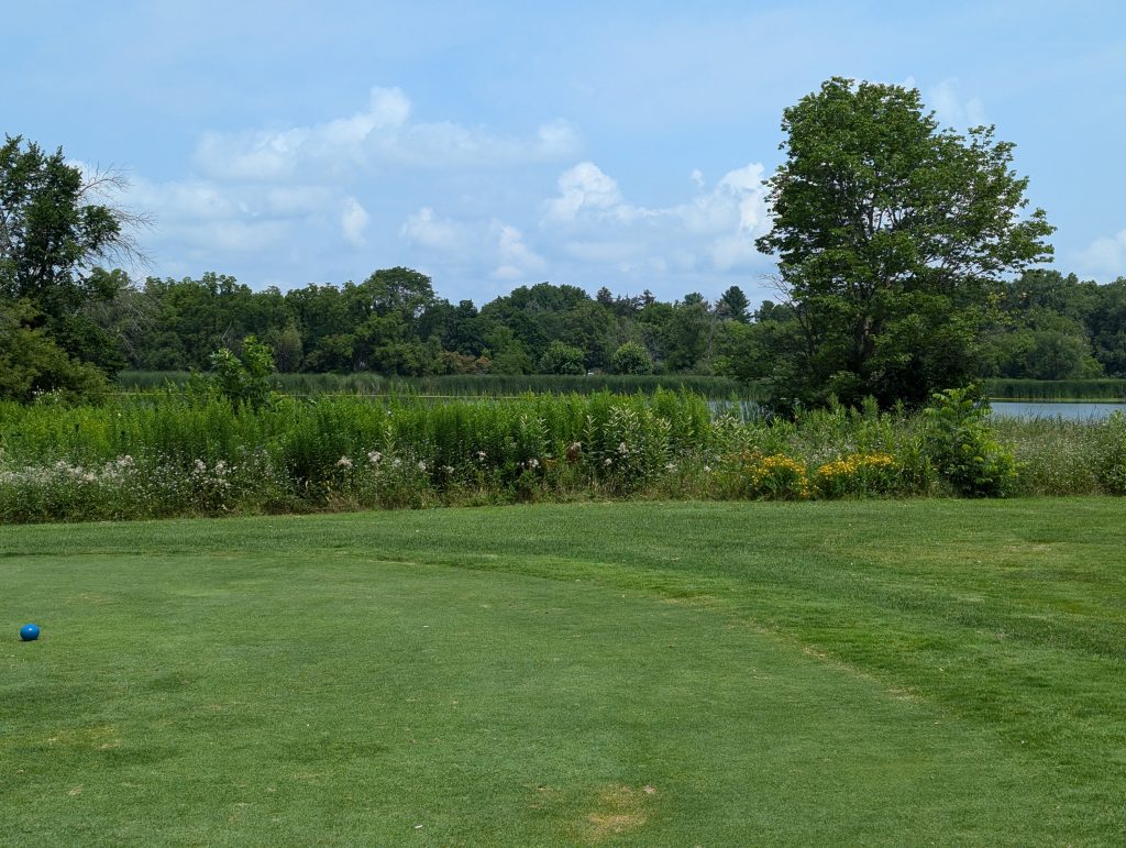 Odana Hills Golf Course 10 PXL 20240721 165113701