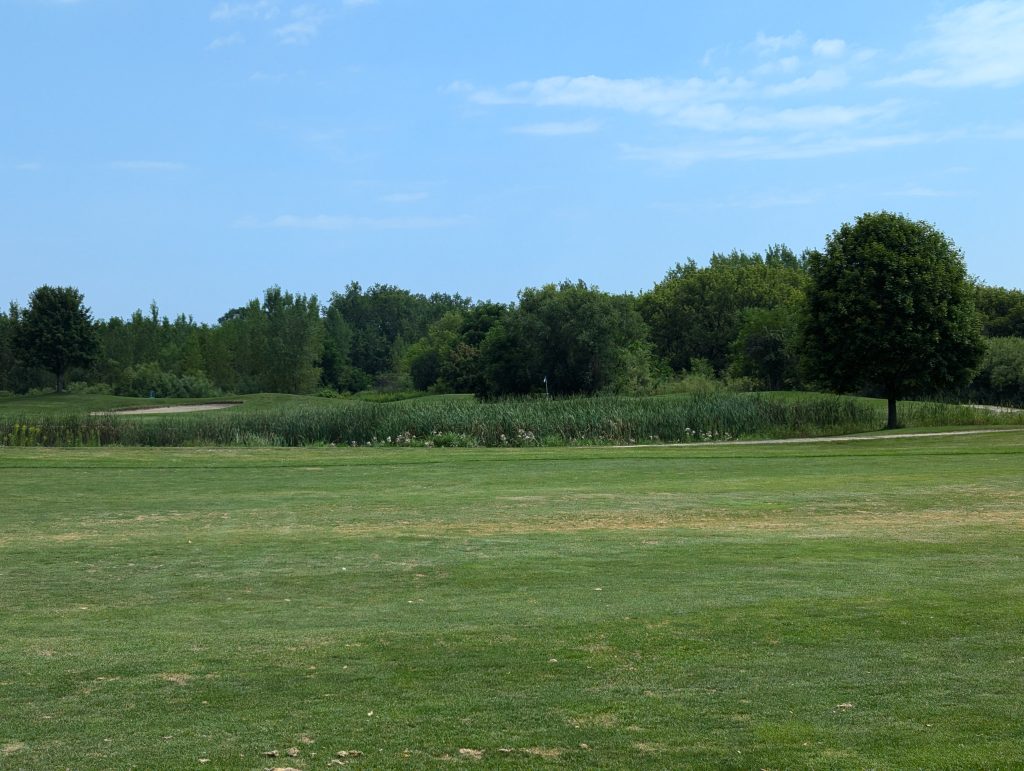 Bridges Golf Course 9 PXL 20240804 162424675.MP