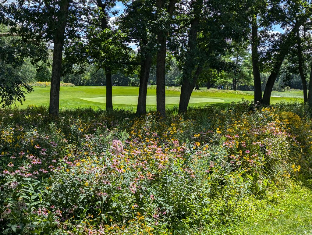Glen Golf Park 16 PXL 20240810 181330384
