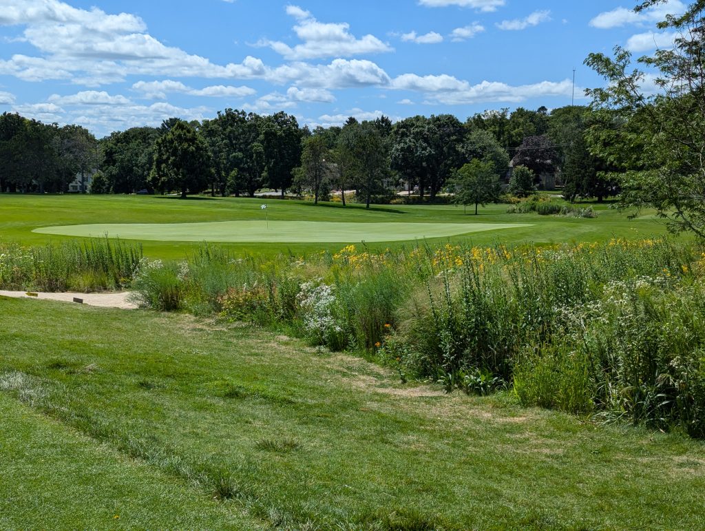 Glen Golf Park 10 PXL 20240810 185713491