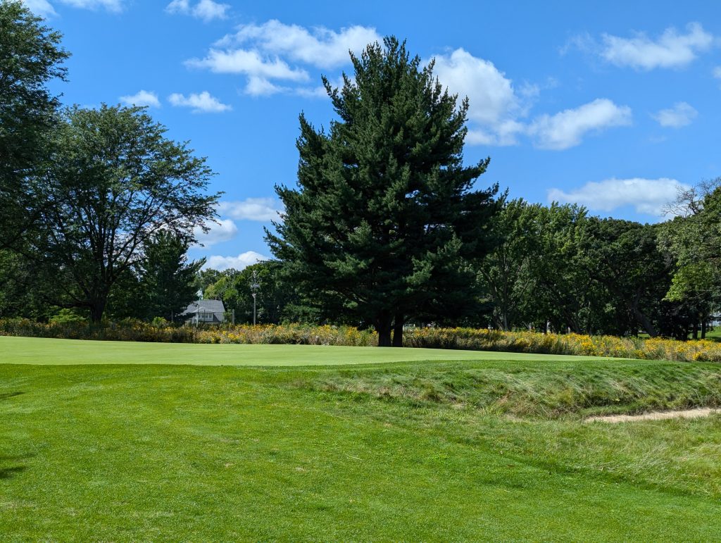 Glen Golf Park 8 PXL 20240810 190933428