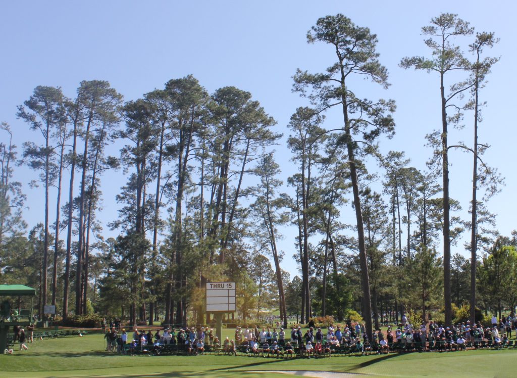Hole 16 trees