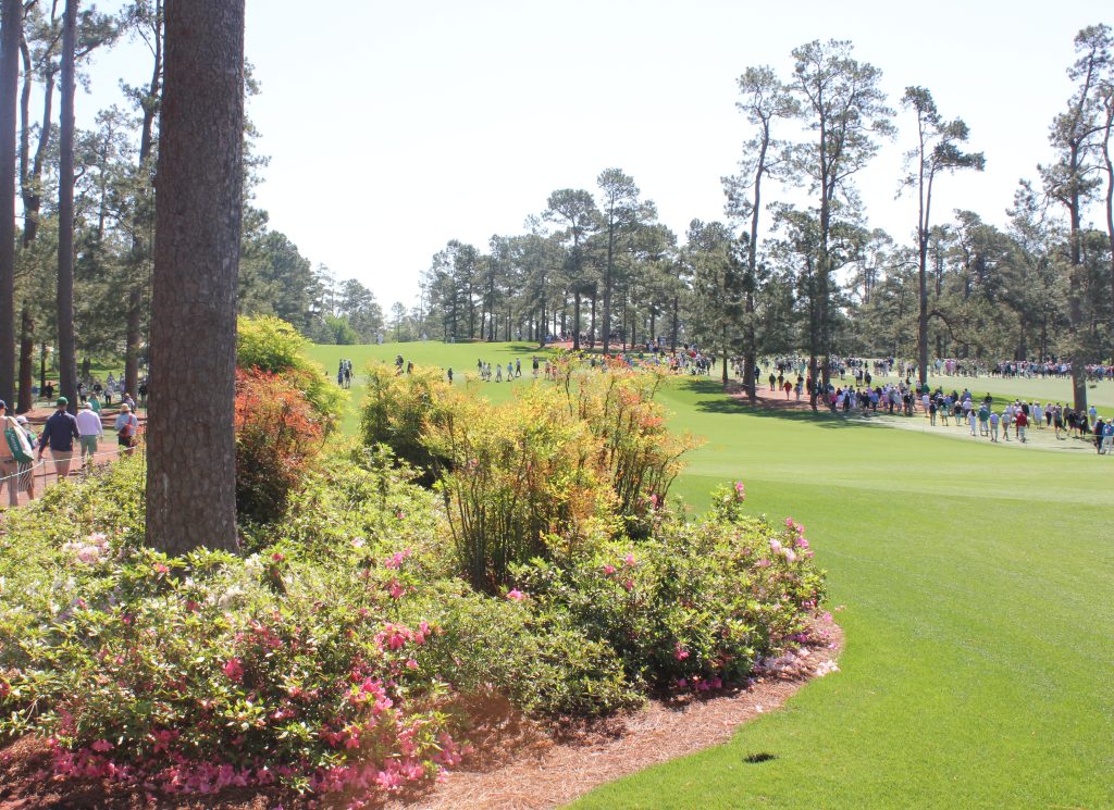 Hole 17 Fairway