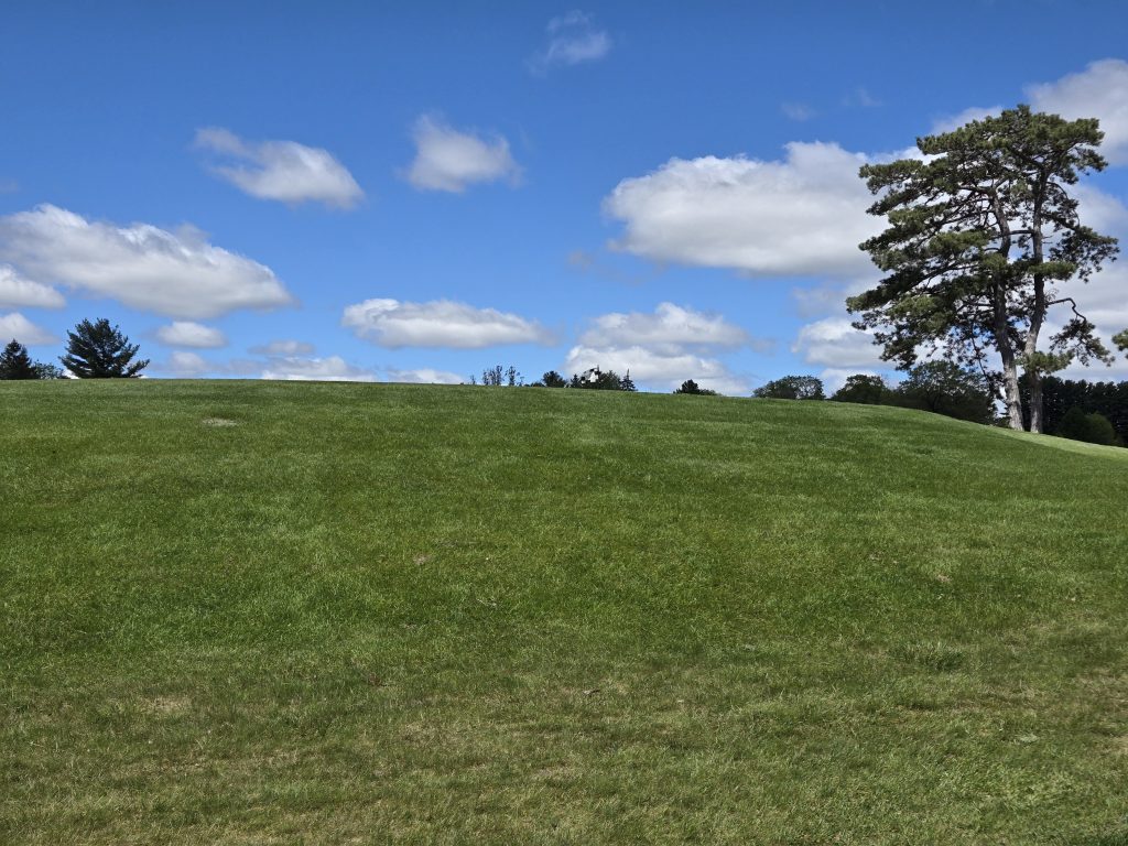 Lawsonia Links 4 20250523 115033