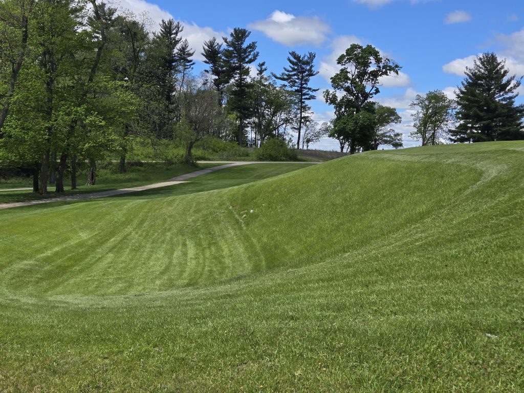 Lawsonia Links 5 20250523 115045