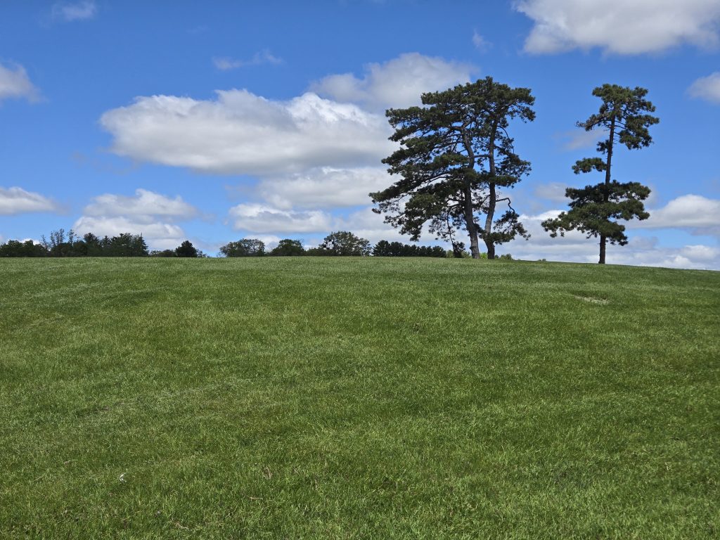 Lawsonia Links 6 20250523 115049