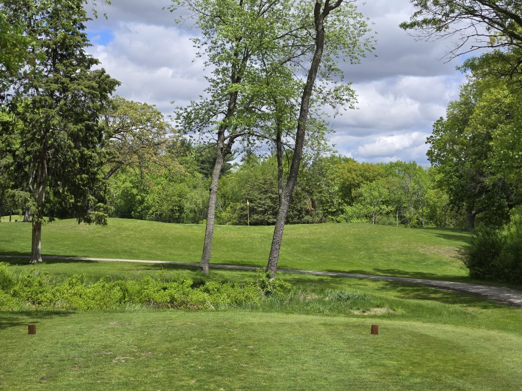 Lawsonia Woodlands 4 20250523 131901
