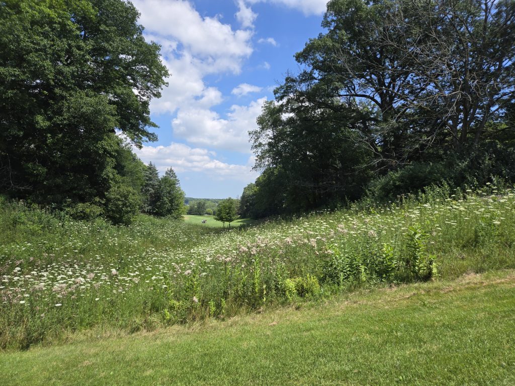 Naga-Waukee Golf Course 4 20250727 140757