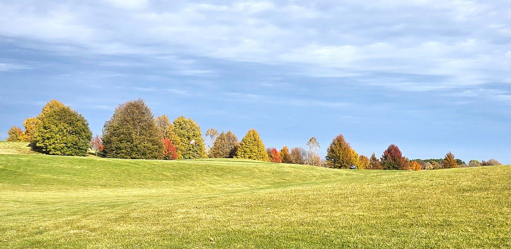 The Oaks Golf Course 11 20251104 143712