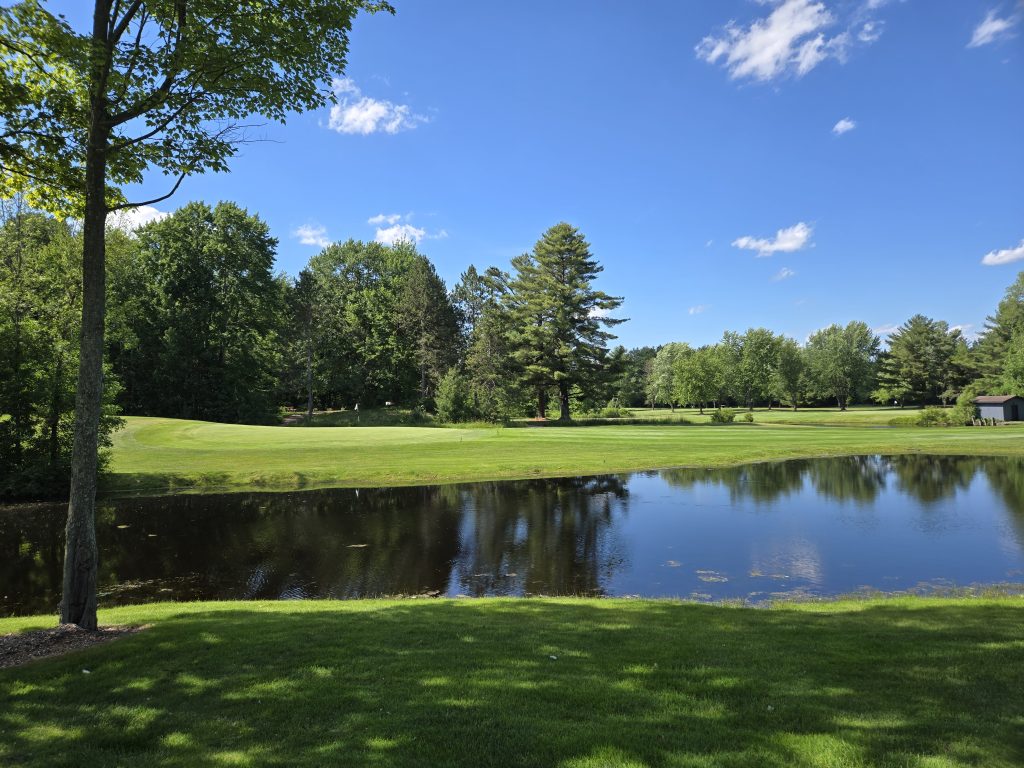 Pine Acres Golf Club 8 20260613 154406